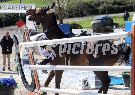 Reiten. Reitsport. Alpenspan Grand Prix. Elisabeth Knaus auf Cancun 18.    St. Margarethen im Lavanttal, am 6.4.2025.
Foto: Kuess 
---
pressefotos, pressefotografie, kuess, qs, qspictures, sport, bild, bilder, bilddatenbank