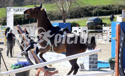 Reiten. Reitsport. Alpenspan Grand Prix. Elisabeth Knaus auf Cancun 18.    St. Margarethen im Lavanttal, am 6.4.2025.
Foto: Kuess 
---
pressefotos, pressefotografie, kuess, qs, qspictures, sport, bild, bilder, bilddatenbank