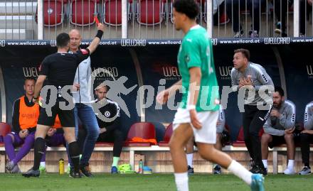 FFussball Bundesliga. SK Austria Klagenfurt gegen WSG Tirol. Rote Karte fÃ¼r Co-Trainer Martin Lassnig (Austria Klagenfurt),   Klagenfurt, am 10.5.2025.
Foto: Kuess
www.qspictures.net
---
pressefotos, pressefotografie, kuess, qs, qspictures, sport, bild, bilder, bilddatenbank