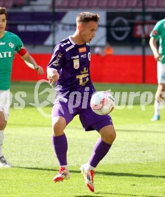 Fussball Bundesliga. SK Austria Klagenfurt gegen WSG Tirol. Tobias Koch  (SK Austria Klagenfurt). Klagenfurt, am 10.5.2025.
Foto: Kuess
www.qspictures.net
---
pressefotos, pressefotografie, kuess, qs, qspictures, sport, bild, bilder, bilddatenbank