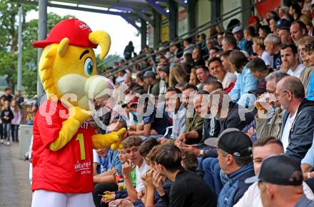Fussball OEFB Cup. Treibach gegen Blau Weiss Linz. Maskottchen Spurti. Treibach, am 25.7.2025.
Foto: Kuess
www.qspictures.net
---
pressefotos, pressefotografie, kuess, qs, qspictures, sport, bild, bilder, bilddatenbank