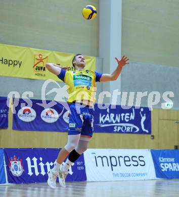 Volleyball Bundesliga. AVL. Austrian Volleyball League.   (Aich/Dob) gegen Waldviertel.  Nicolai Grabmueller  (Aich/Dob). Bleiburg, am 5.11.2025.
Foto: Kuess
www.qspictures.net
---
pressefotos, pressefotografie, kuess, qs, qspictures, sport, bild, bilder, bilddatenbank