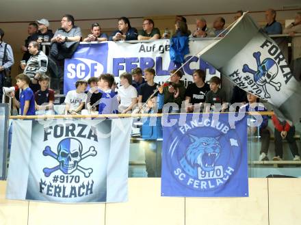 Handball Bundesliga. HLA. SC Ferlach gegen Hard.  Fans (SCF),  Ferlach, am 14.2.2026.
Foto: Kuess
www.qspictures.net
---
pressefotos, pressefotografie, kuess, qs, qspictures, sport, bild, bilder, bilddatenbank